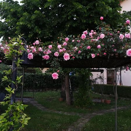 Happy Family B&B Viggianello Luaran gambar