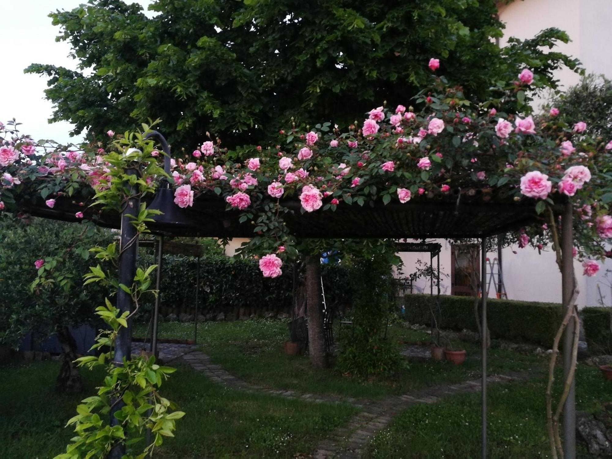 Happy Family B&B Viggianello Luaran gambar